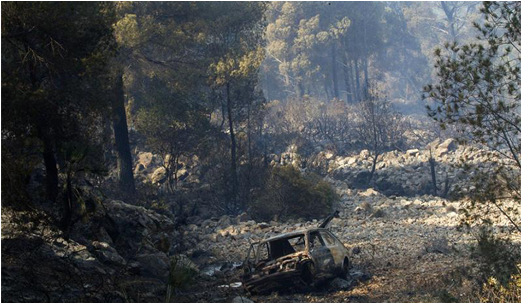 Les nostres arrels: De l’incendi a la cooperativa