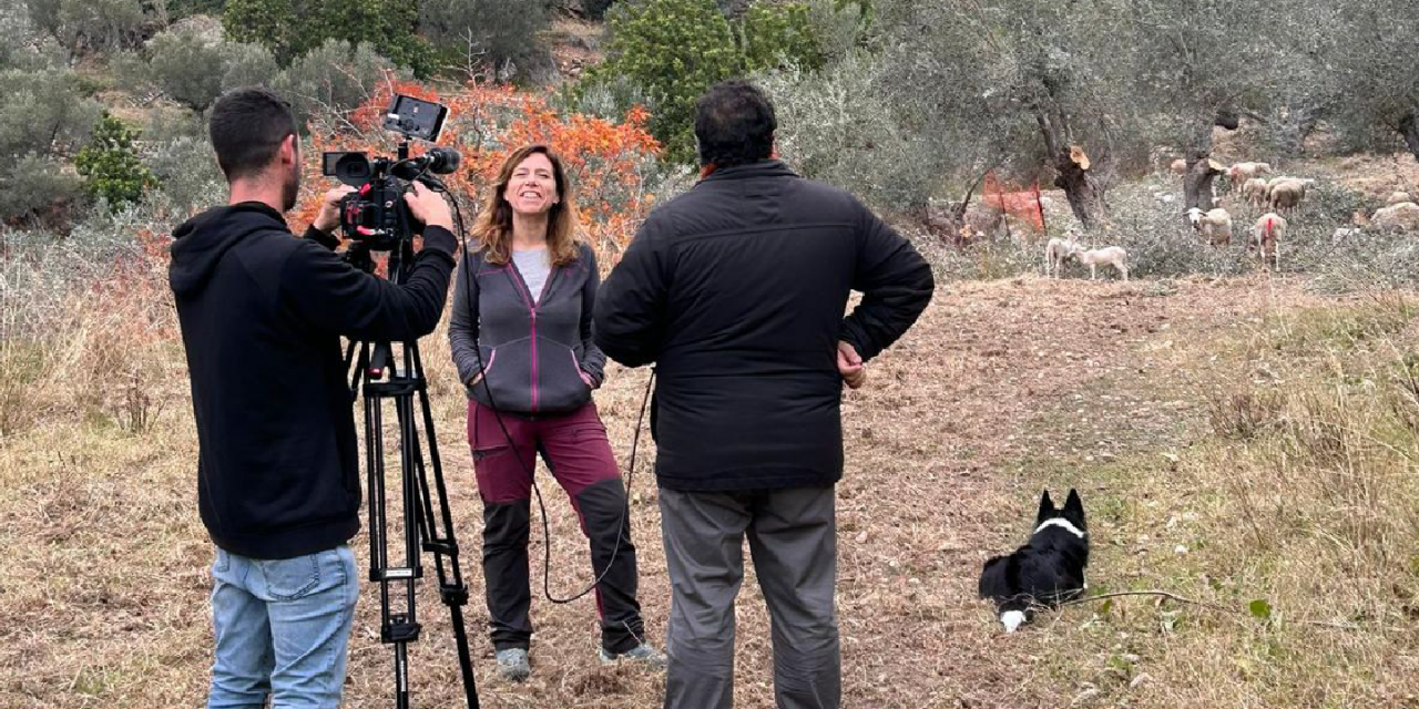 Reportatge d’IB3 notícies sobre EcoEstellencs